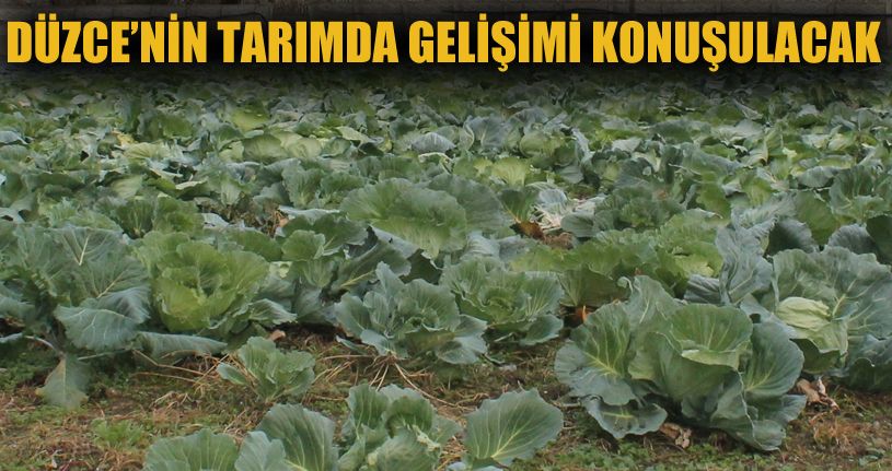 Düzce Üniversitesi’nde tarım paneli düzenlenecek