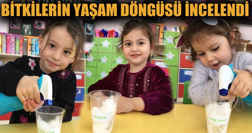 Bitkilerin yaşam döngüsünü öğrendiler