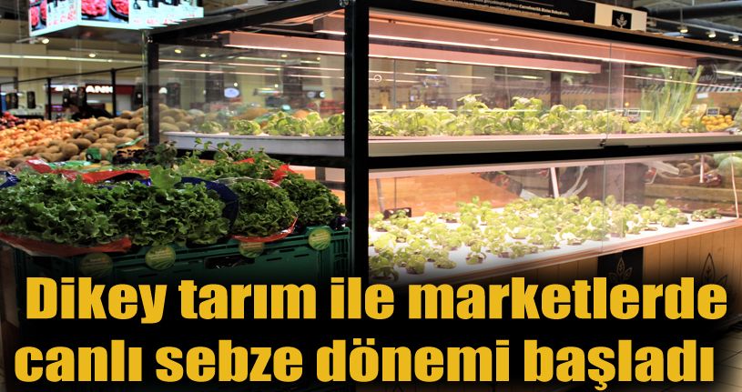 Dikey tarım ile marketlerde canlı sebze dönemi başladı