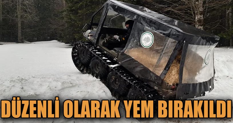 Kış boyunca yaban hayvanlarına 10 ton yem bırakıldı