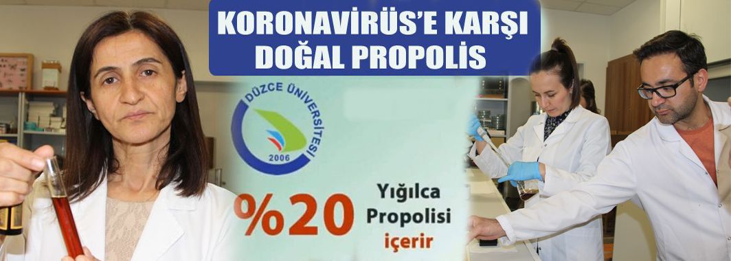 Koronaya karşı propolis