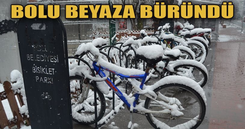Bolu yağan karla beyaza büründü