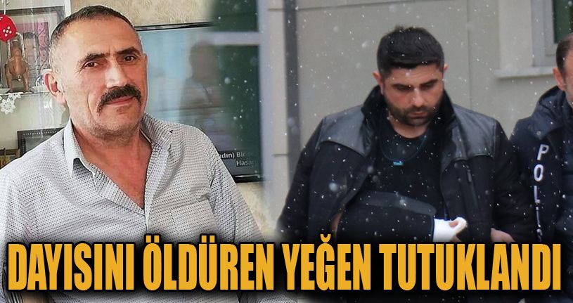 Bolu’da dayısını döverek öldüren şahıs tutuklandı