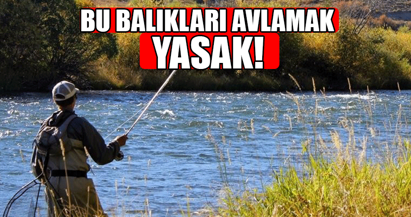 Balıkçılık Açısından Büyük Önem Arz Ediyor