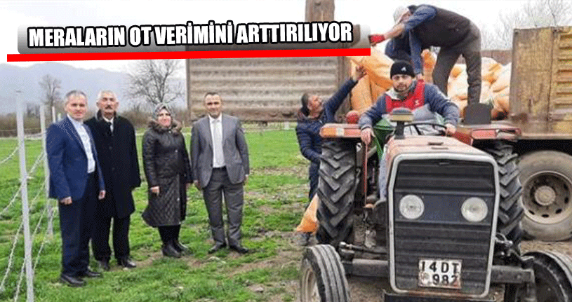 Düzce’de Meraların Ot Verimini Arttırılıyor