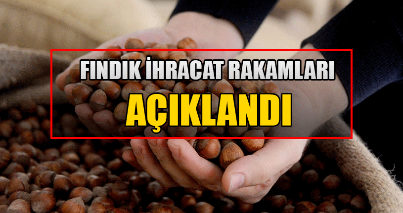 AB Ülkelerine İki Ayda 5 Bin 156 Ton 522 Kilo Fındık İhraç Edildi