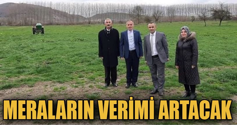 Düzce’de Meraların Ot Verimini Arttırılıyor
