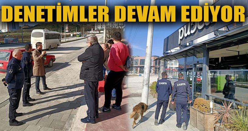 Zabıta ekipleri çalışmalarını sürdürüyor