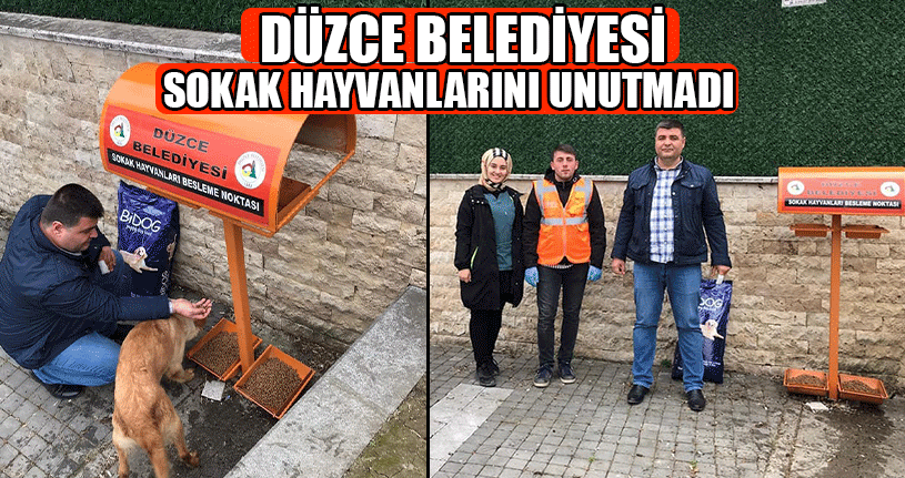 Şehrin Çeşitli Noktalarına Mama Bırakıldı