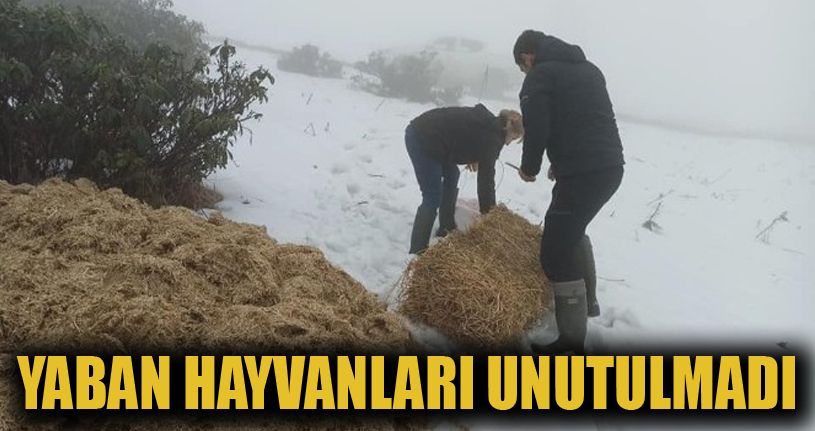 Mart karı ekipleri hareketlendirdi