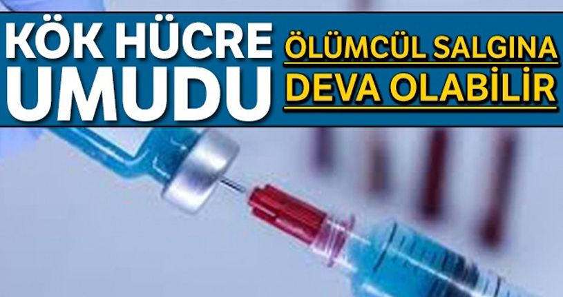 Kök hücre umudu