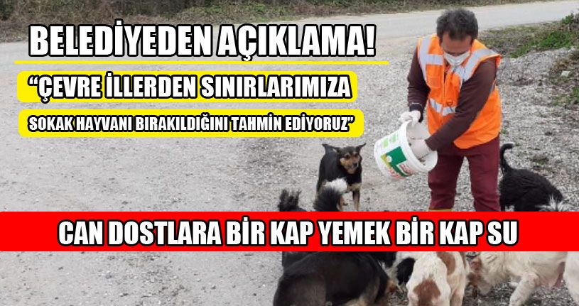 Veteriner İşleri Müdürlüğü’nden Açıklama