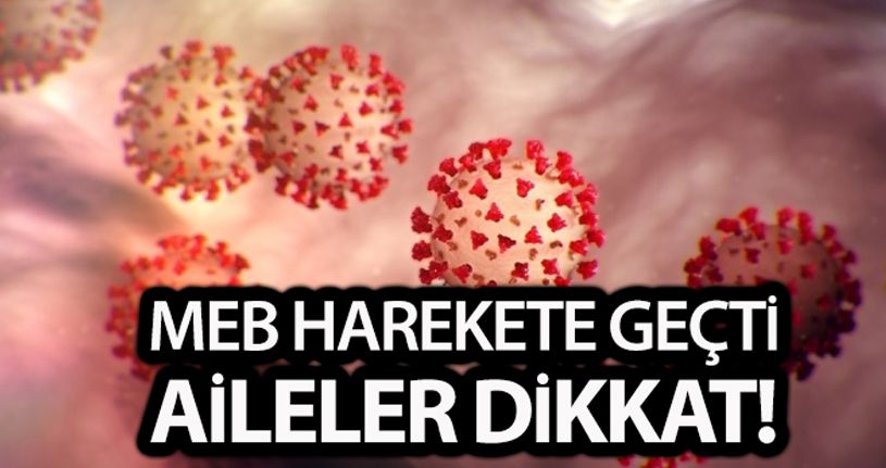 Covid-19 travmasına karşı MEB iki ayrı kılavuz hazırladı