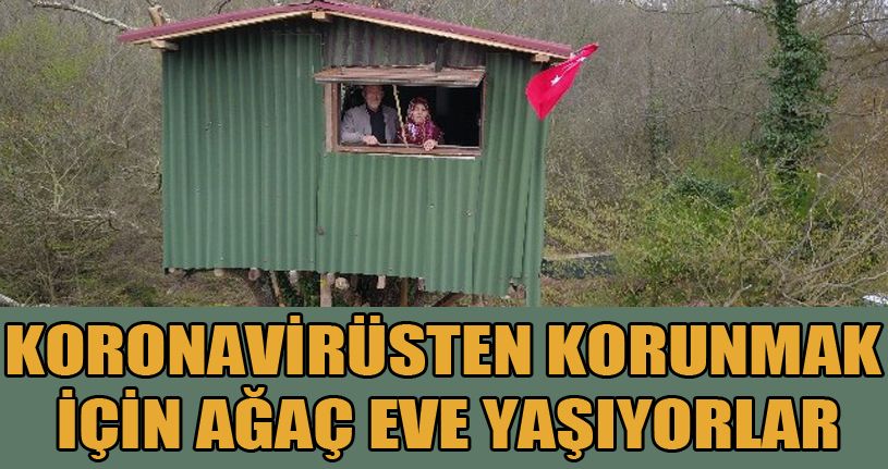 Korona virüsten korunmak için ormanın ortasındaki ağaç üzerine kurdukları evde kalıyorlar