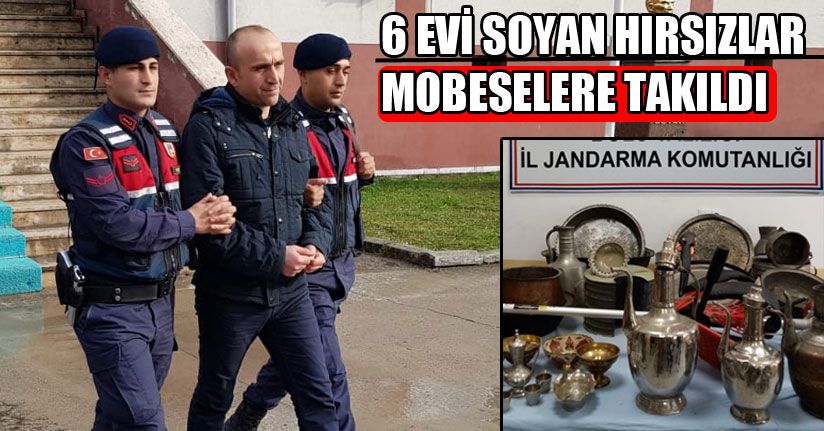 6 Eve Girerek Hırsızlık Yapan 4 Şahıs Adliyeye Sevk Edildi
