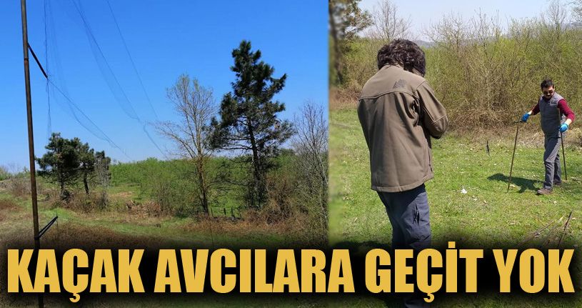 Saka kuşu avlamak için ağ gerdiler