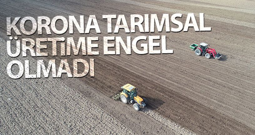 Korona tarımsal üretime engel olmadı