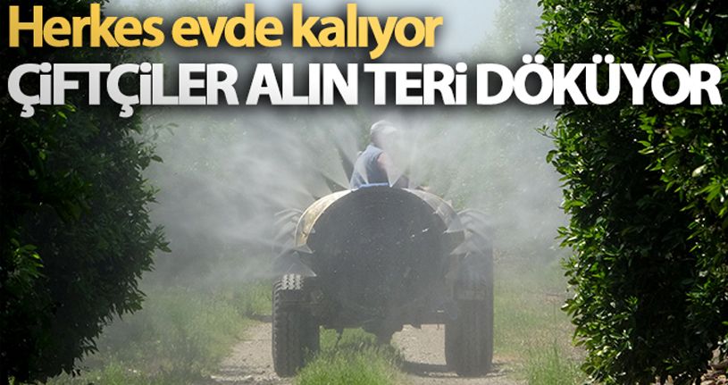 Herkes evde kalıyor, çiftçiler alın teri döküyor