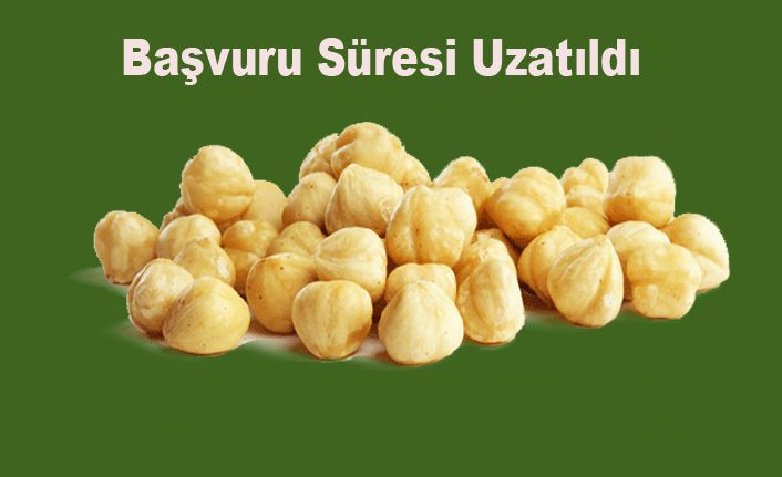 Fındık Desteklemesinde Son Tarih...