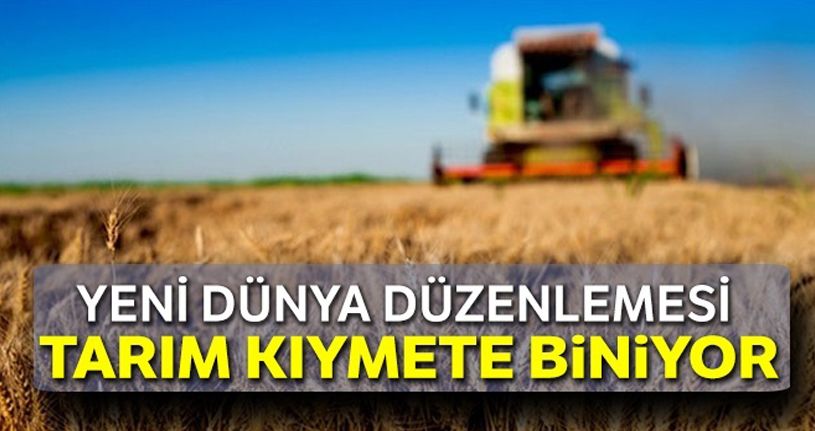 Tarım ve gıda kıymete biniyor