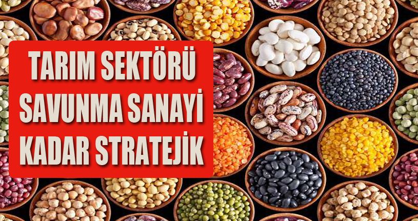 Tüm Dünya Vahim Tablo İle Karşı Karşıya