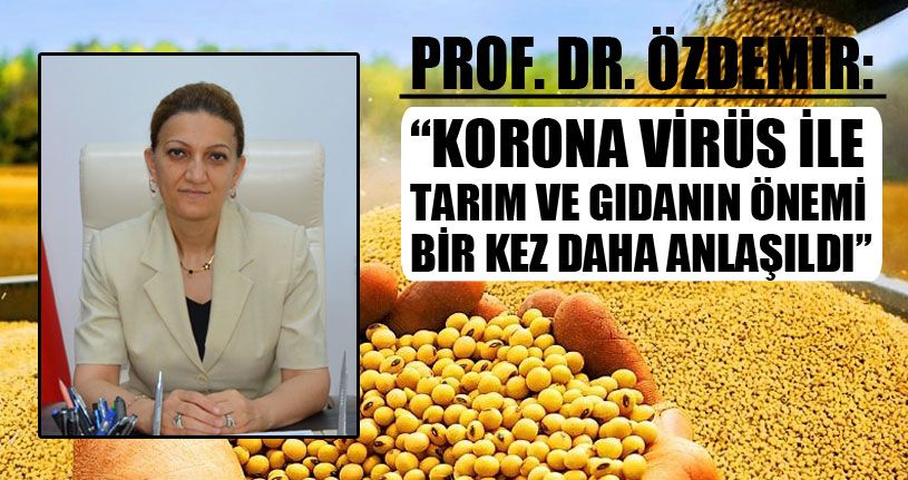 Gıda ve Tarımın Stratejik Önemi