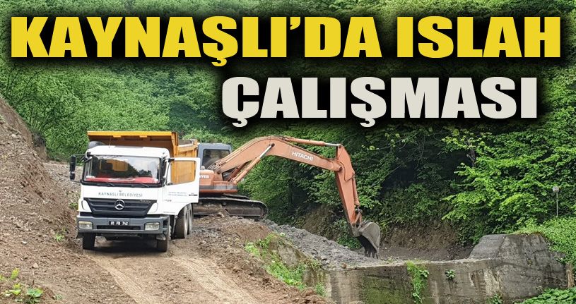 Kaynaşlı Belediyesinden derelerin taşmaması için ıslah çalışması