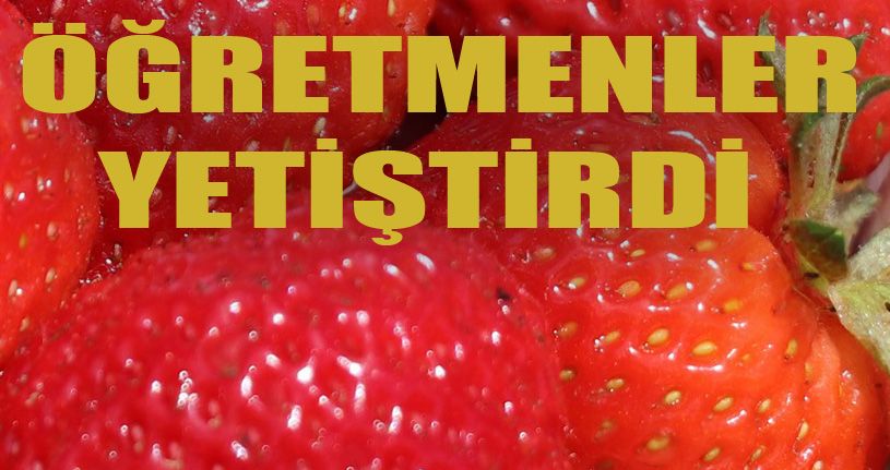 Seralar Öğretmenlere Kaldı