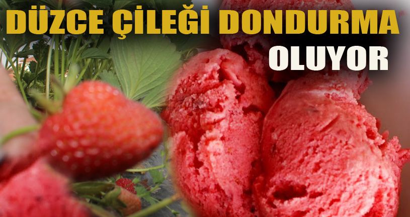 “Çileği randevu ile gelip alıyorlar”