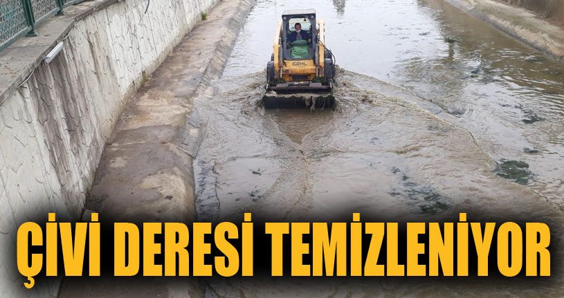 Karadeniz'e dökülen Çivi deresi güzergahı temizlendi