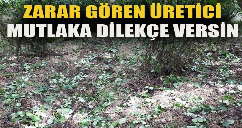 Zarar Gören Üretici Mutlaka Dilekçe Versin