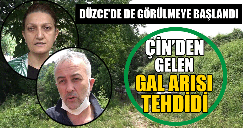'Ormanlarımız İyice Kuruyacak'