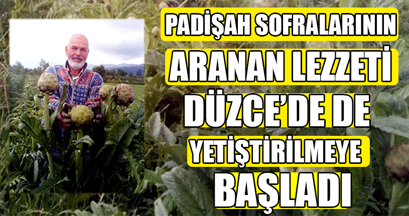 Padişah Sofralarının Aranan Lezzeti Düzce’de De Yetiştiriliyor