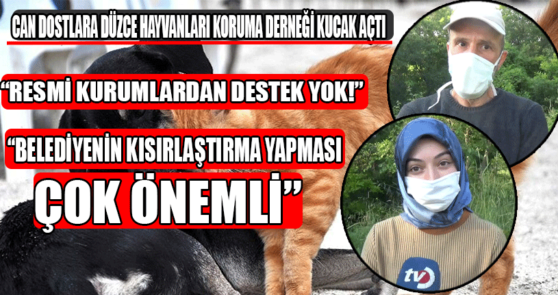 Can Dostlara Düzce Hayvanları Koruma Derneği Kucak Açtı