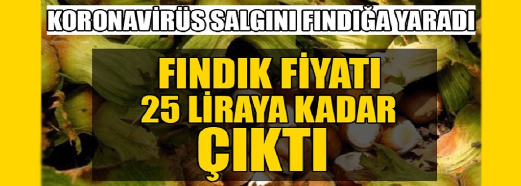 Koronavirüs Salgını Fındığa Yaradı