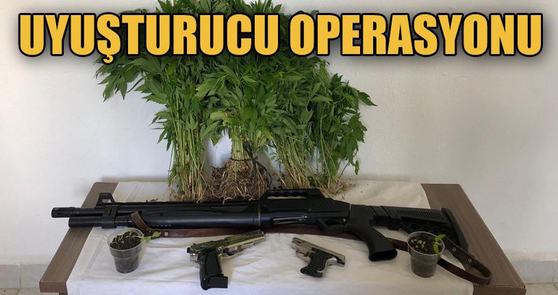 Uyuşturucu operasyonunda 2 gözaltı