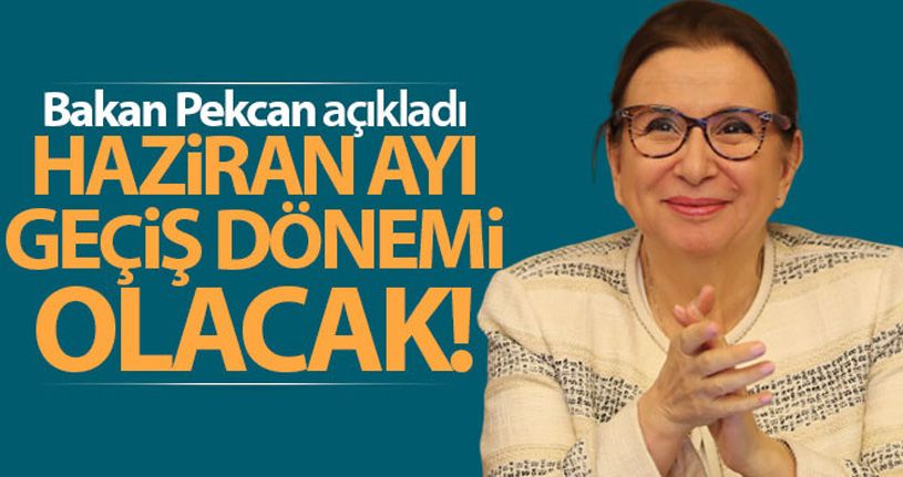 Bakan Pekcan: 'Yatırımcılarımıza her türlü desteği vermeye hazırız'
