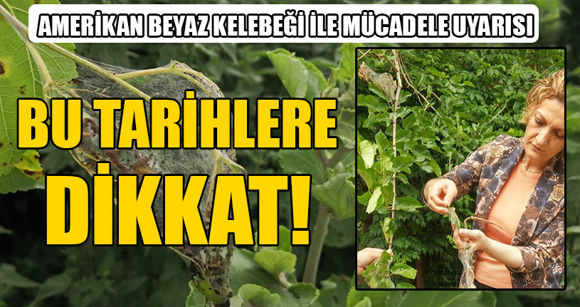 Fındık Üreticilerine Uyarı!