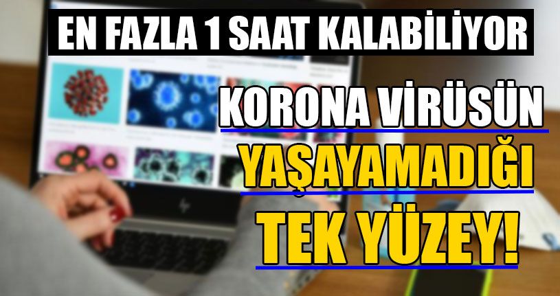 Korona Virüsün Yaşayamadığı Tek Yüzey!