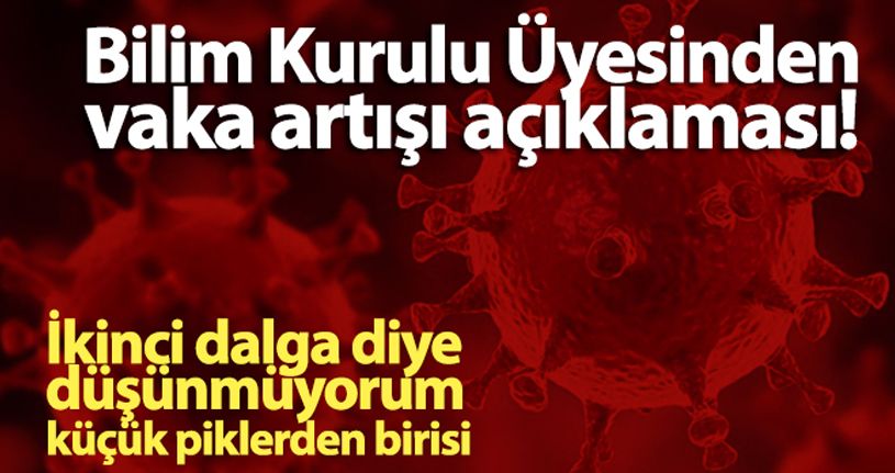Bilim Kurulu Üyesi Prof. Dr. Çelik, vaka artışını değerlendirdi: 'Küçük piklerden biri'