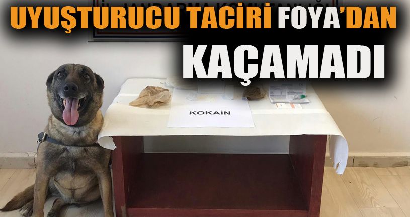 Yolcu otobüsünde 360 gram kokain yakalandı
