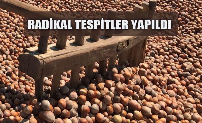 'Ulusal Fındık Çalıştayı' sonuç bildirgesi Açıklandı