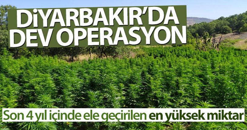 Diyarbakır'da son yılların en büyük uyuşturucu operasyonu