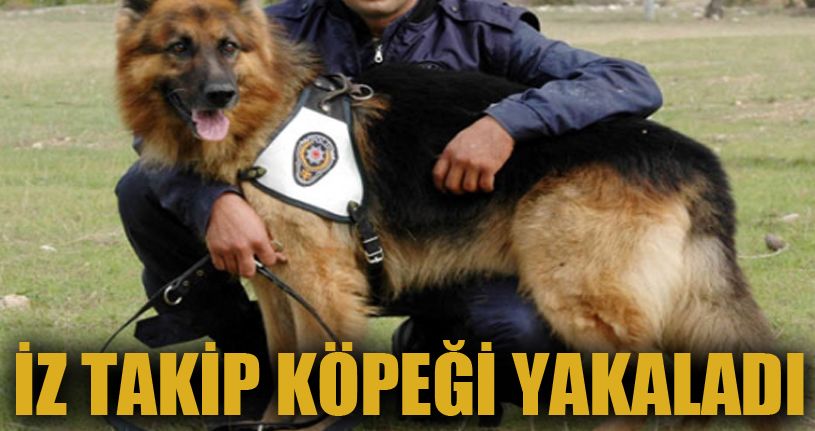 Hırsızlık şüphelisi 4 kişi, iz takip köpeğiyle yakalandı