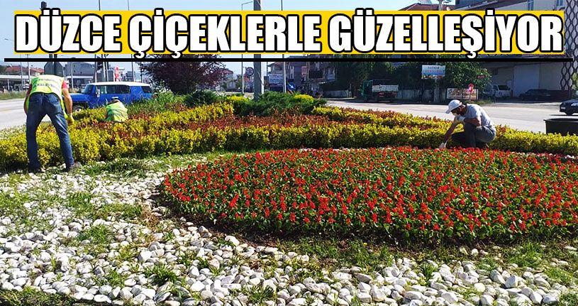 Düzce Çiçeklerle Güzelleşiyor