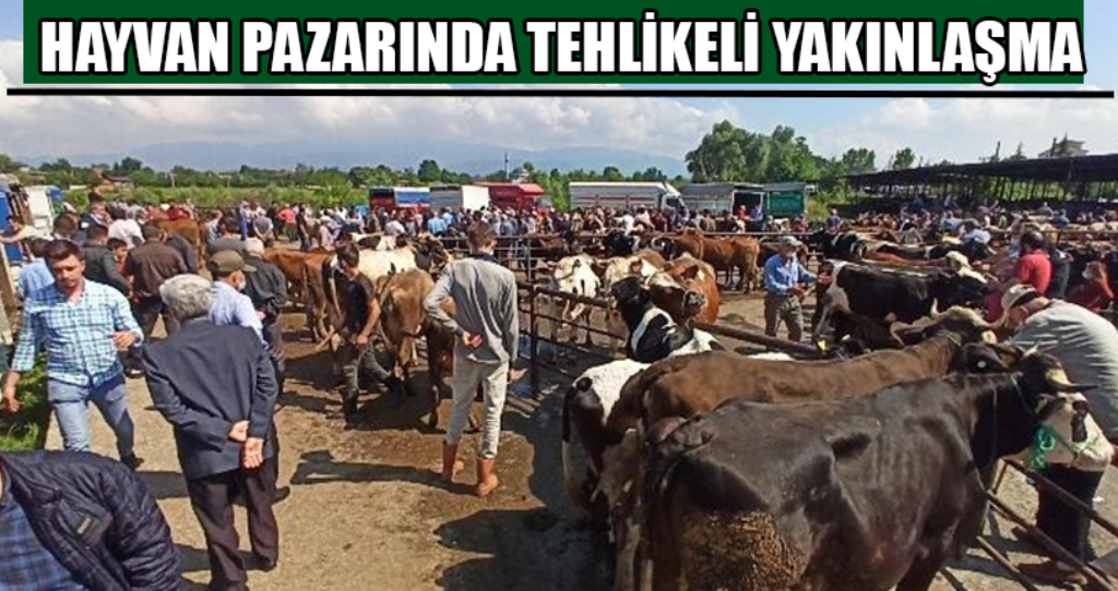 Hayvan Pazarında Sosyal Mesafe Tanınmadı