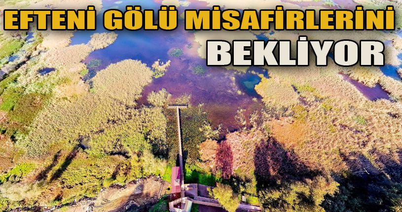 Efteni Gölü misafirlerini bekliyor