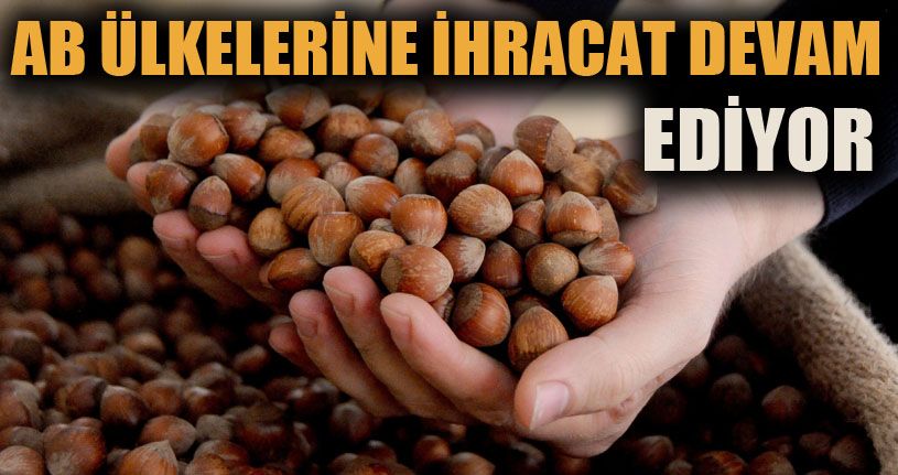 Düzce’den AB Ülkelerine İhracat Devam Ediyor