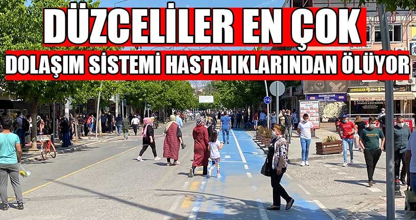 Düzceliler En Çok Dolaşım Sistemi Hastalıklarından Ölüyor