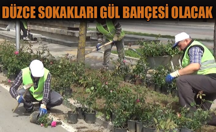 Artık Bir Defa Dikilecek, Ömür Boyu Gidecek